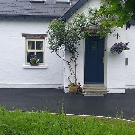 Cheerful Cottage Westport Zewnętrze zdjęcie